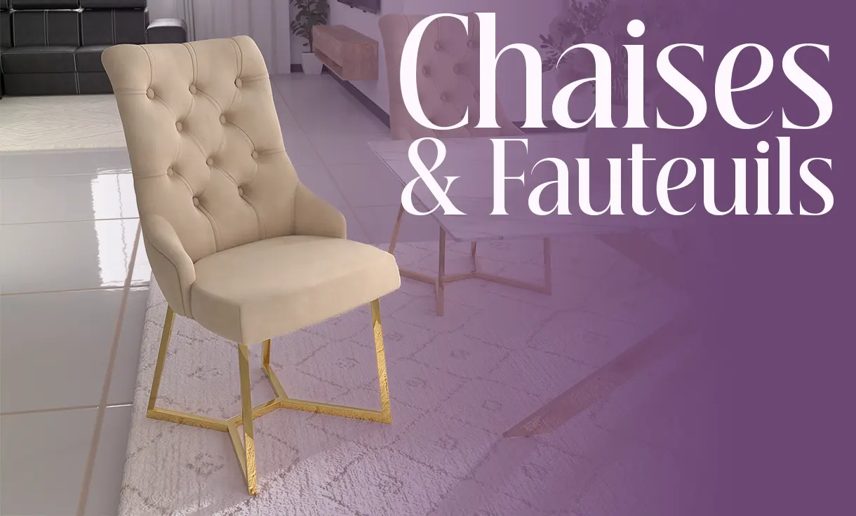 image de la catégorie chaise deco in paris