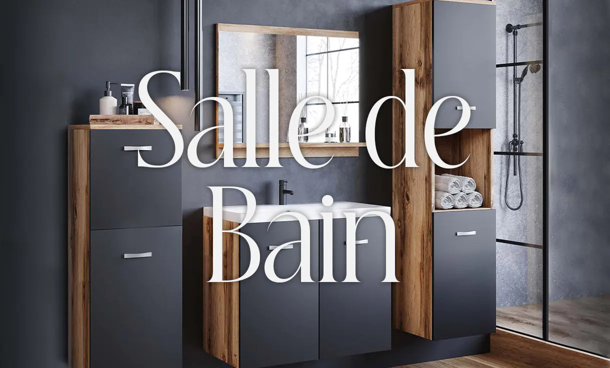 image de la catégorie salle de bain deco in paris